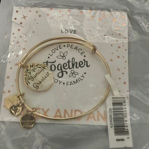 Alex and Ani Family is Life’s Greatest Blessing bracelet